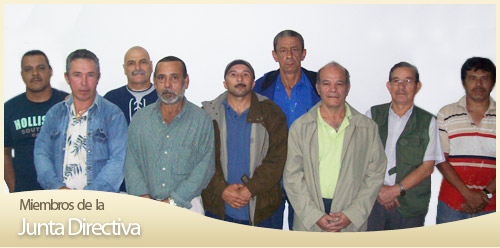 Miembros de la Junta Directiva